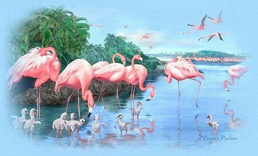 フラミンゴ、鳥、アート、かわいい、フラミンゴ 高画質の壁紙