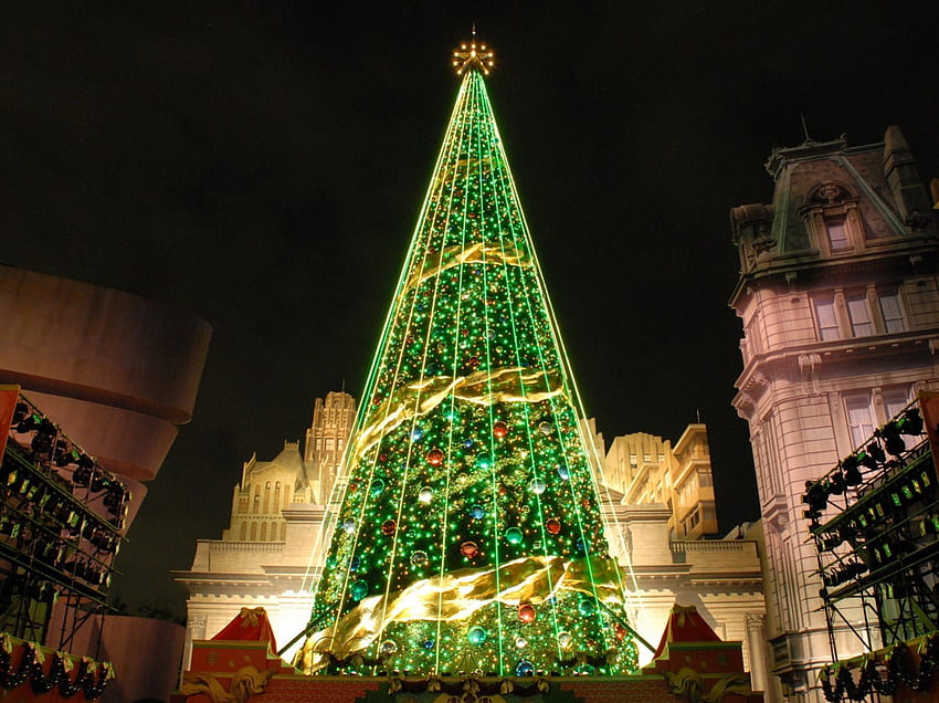.Gorgeous Xmas Tree., тържества, празници, зимни празници, атракции в мечтите, красиви, креативни предварително направени, любовни четири сезона, Коледа, коледа и нова година, прекрасно, коледно дърво HD тапет