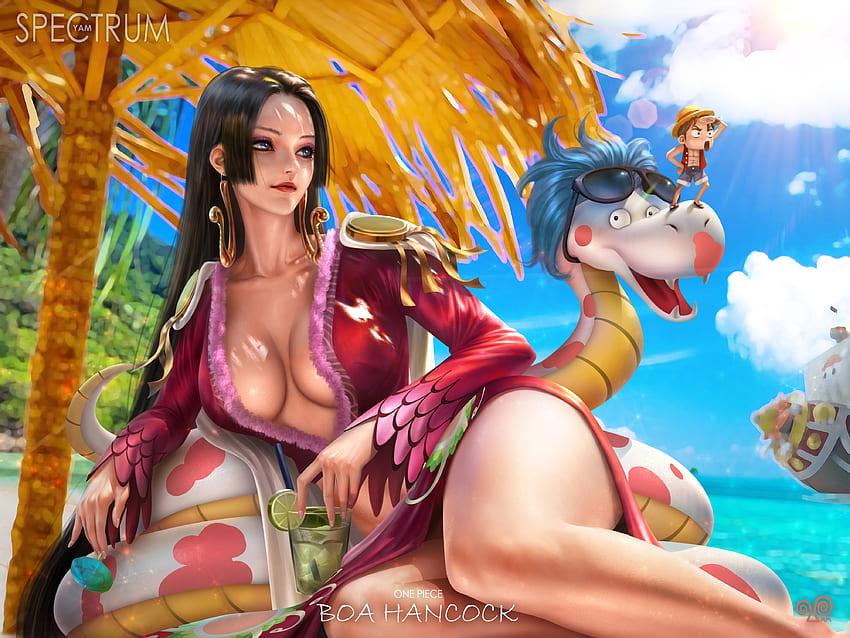 One Piece, Women, sexy, Anime, Fantasy HD wallpaper | Pxfuel