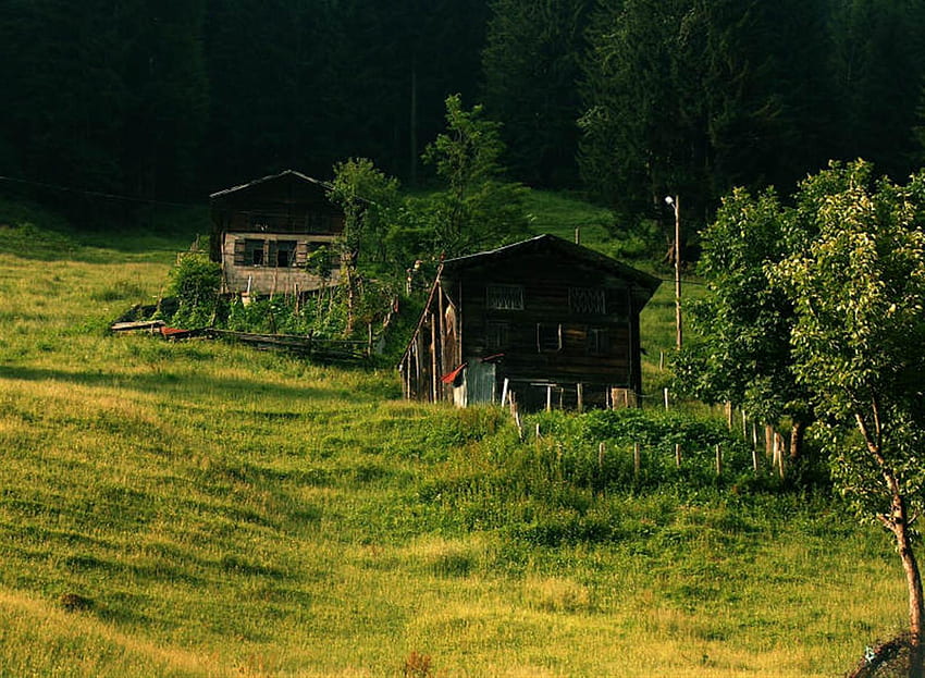 huts, nature HD wallpaper