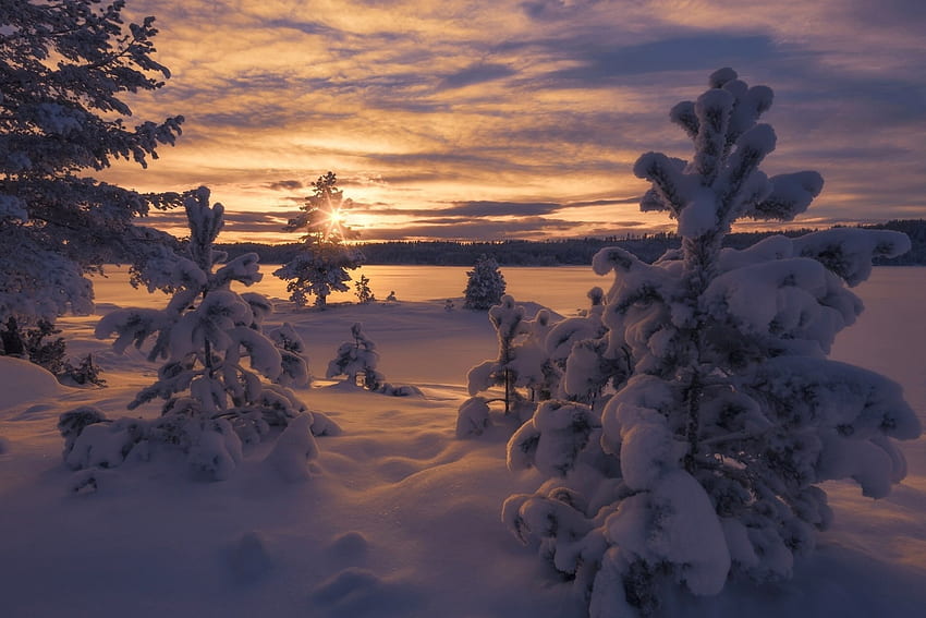 Tramonto invernale, inverno, nevoso, paesaggio, neve, nuvole, alberi, natura, cielo, montagne, splendore, orario invernale, tramonto Sfondo HD