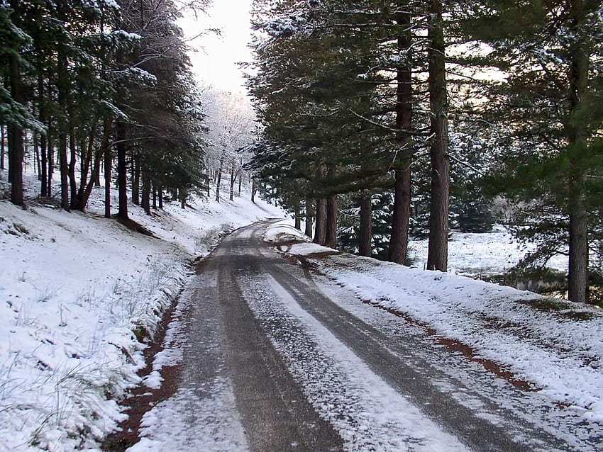 Derbyshire Winter, inverno, árvores, estrada, neve papel de parede HD
