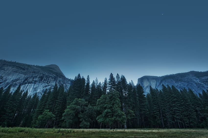 Parque Nacional, Natureza, Árvores, Montanhas, Eua, Floresta, Estados Unidos, Estado da Califórnia, Califórnia, Vale de Yosemite papel de parede HD