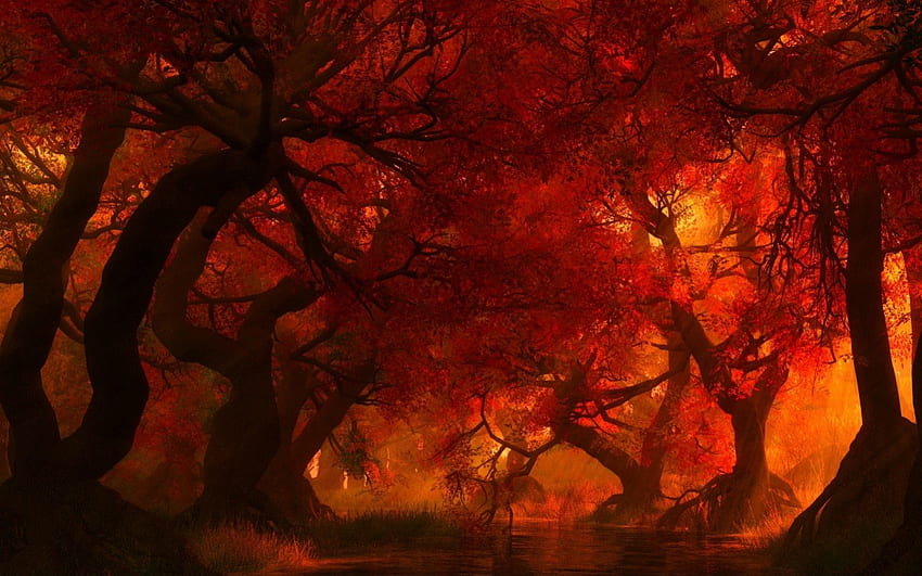 Red Forest, wood, cg, fantasy, red, forest HD wallpaper