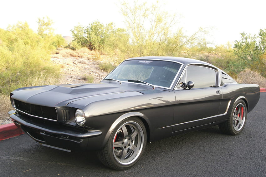 1965 Ford Mustang Fastback, ford, 65, mustang, сив HD тапет