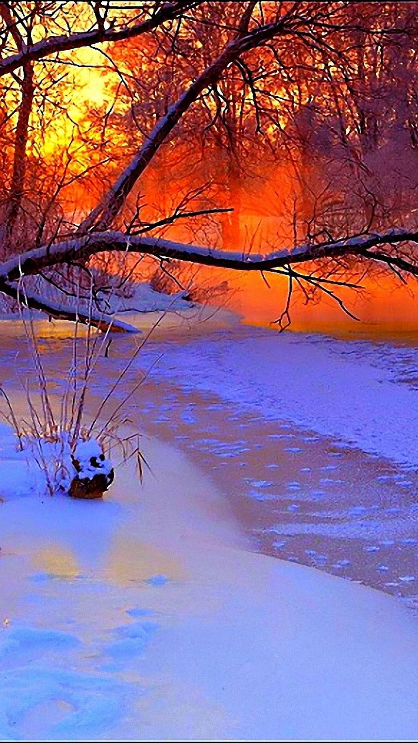 Winter sunset. Winter sunset, Winter scenery, Winter scenes, Snow ...