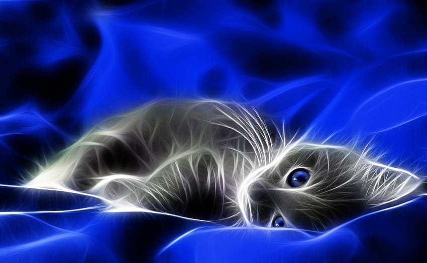 Kitten Art, blue, kitten, black white, art, fuzzy, cute, abstact art, cat, abstract, cuddley HD wallpaper