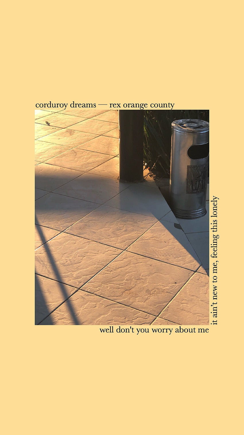 corduroy dreams, Rex Orange County HD phone wallpaper
