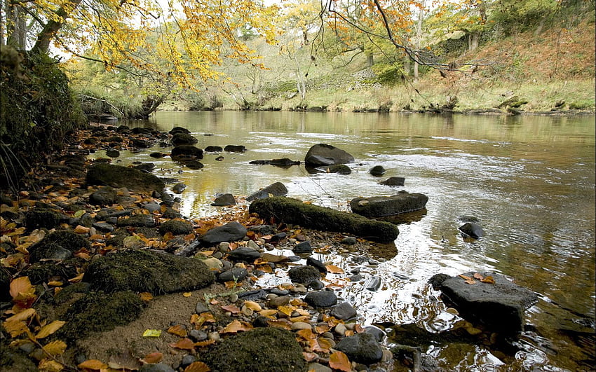 Nature, Rivers, Stones, Autumn, Leaves, Shore, Bank, Flow HD wallpaper