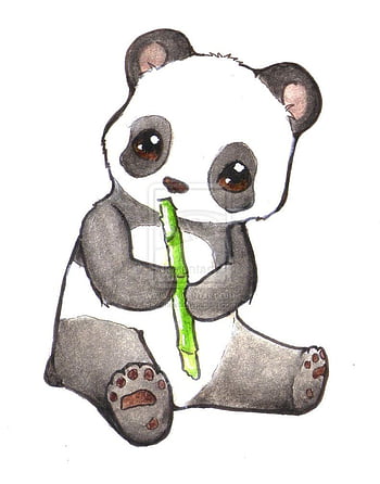 easy cute panda drawing