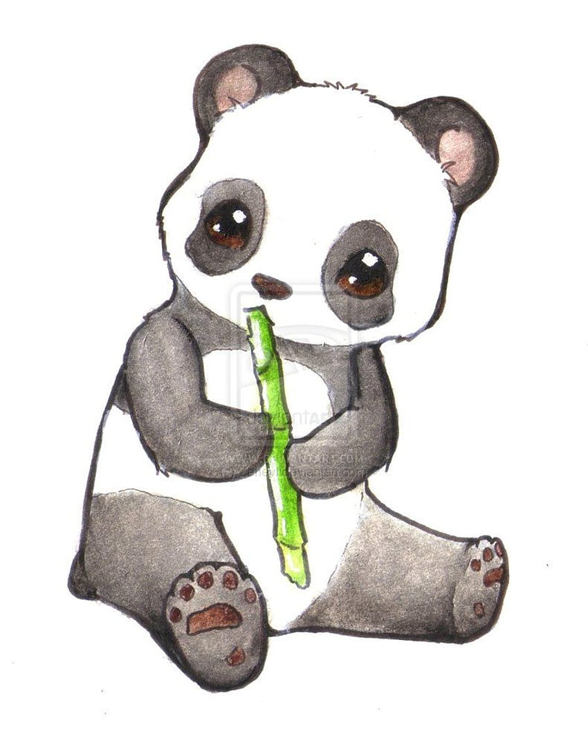 pandas drawings