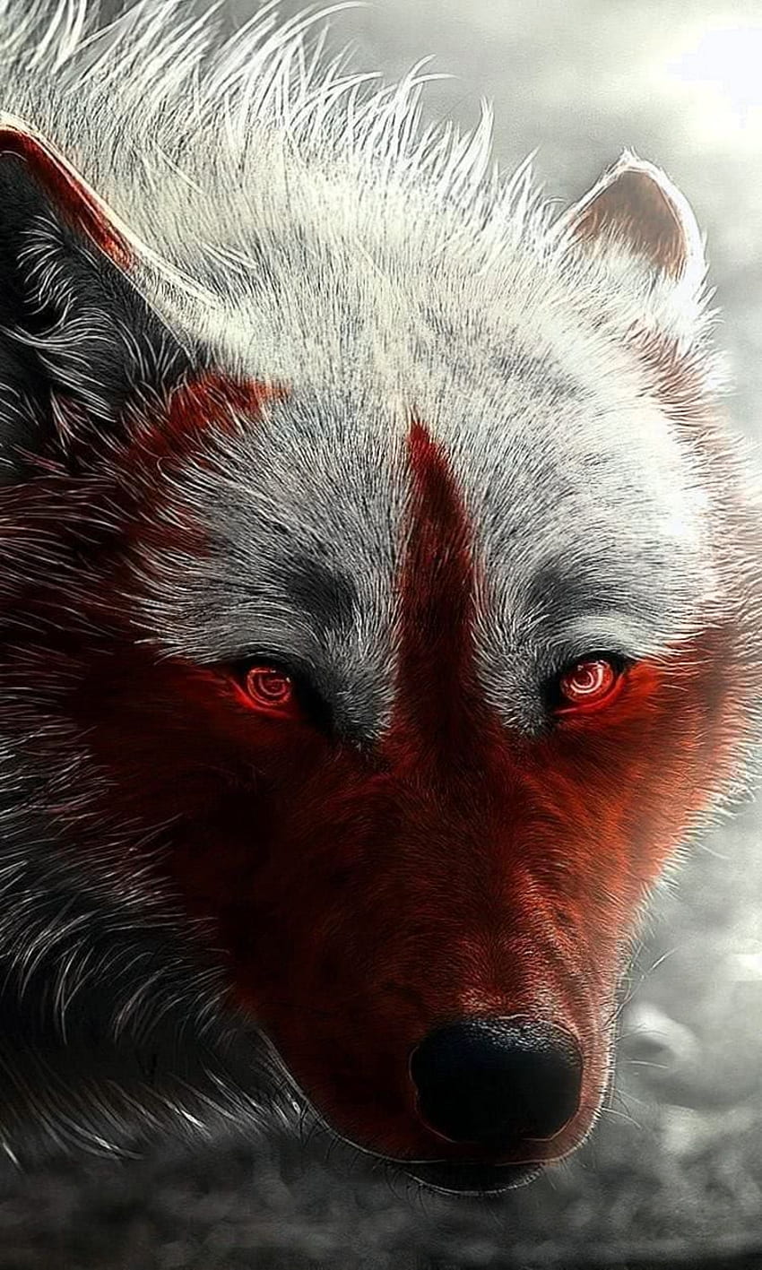 Scary Wolf Wolf .pro, Scary Werewolf HD phone wallpaper | Pxfuel