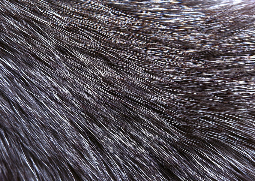Animal skins, textures, leather, wool, , background HD wallpaper | Pxfuel
