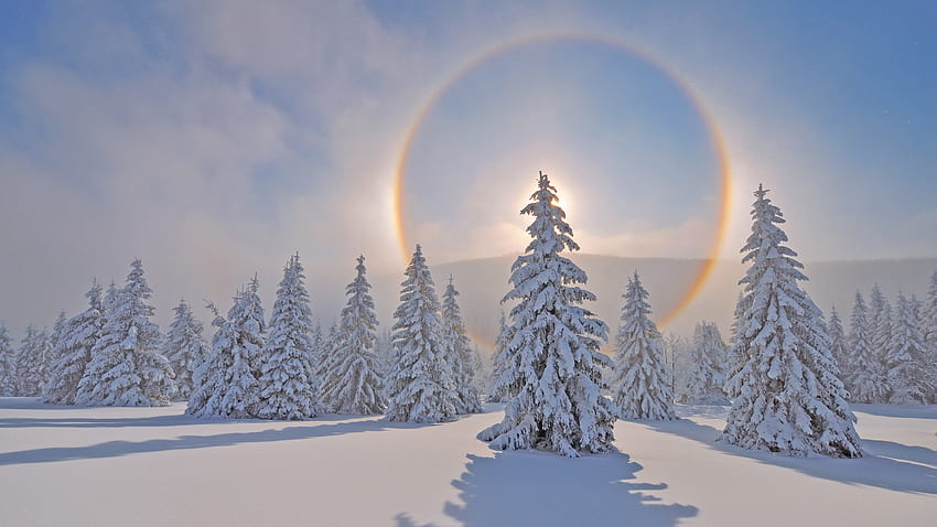 Kar Dağları Ile Ladin Ağaçları Yuvarlak Güneş Işığı Mavi Gökyüzü Arka Plan Kış HD duvar kağıdı