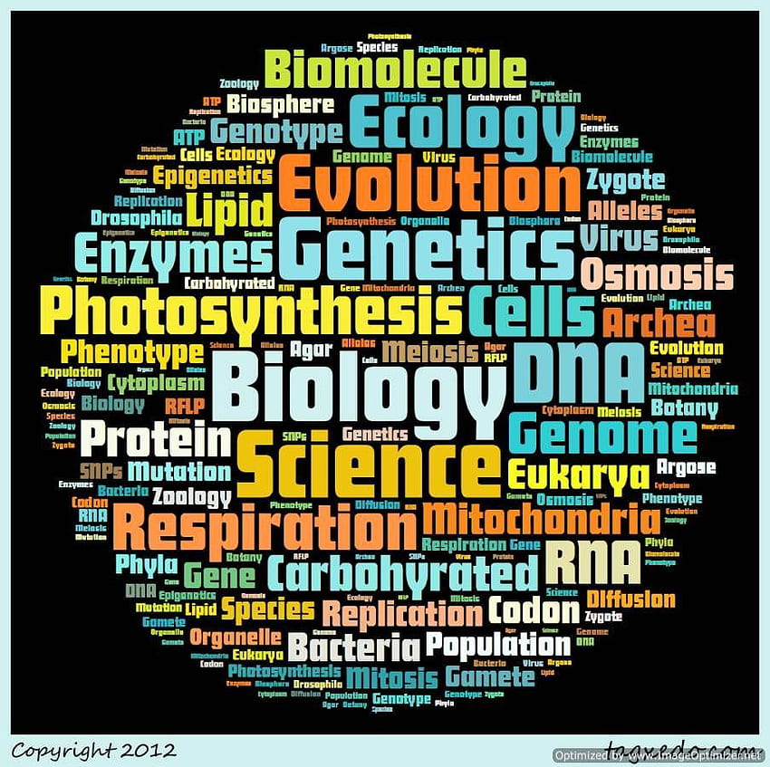 Attractive Wall - Biology . Attractive . Biology vocabulary, Science vocabulary, Science biology, Beautiful Biology HD wallpaper