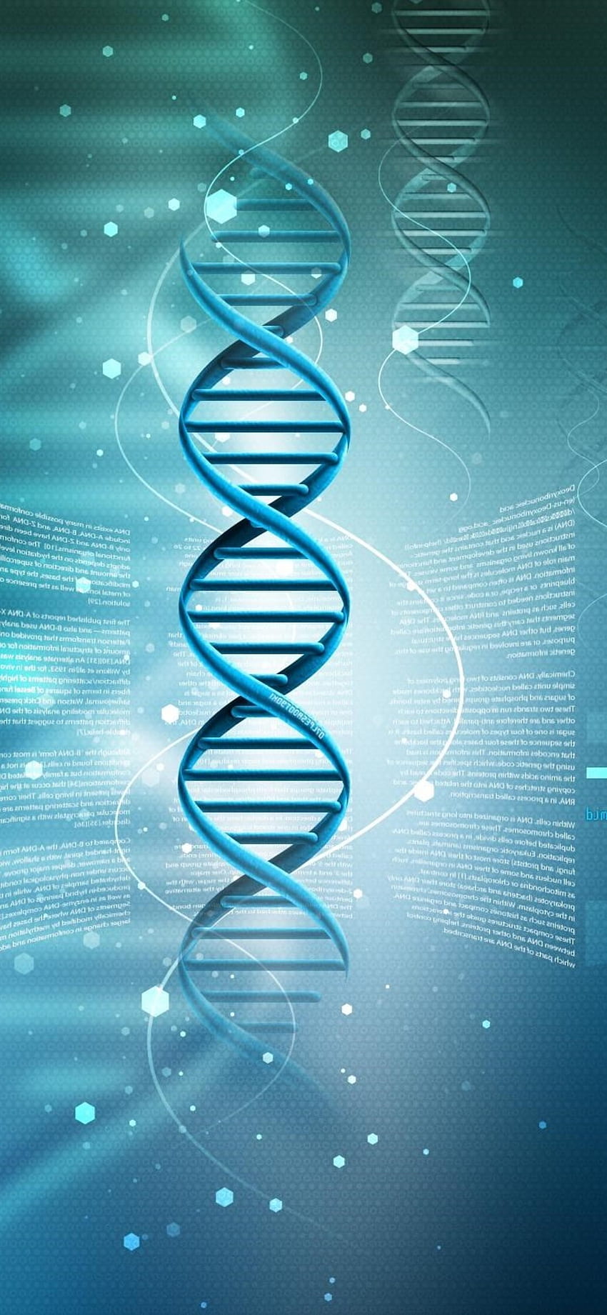 İnsan DNA'sı 3D - Powerpoint İçin Biyoloji Arka Planı HD telefon duvar kağıdı