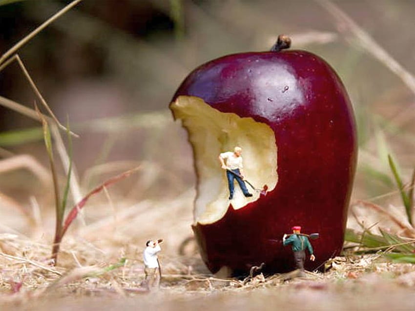 Apple--Манипулация, готино, ябълка, манипулация HD тапет