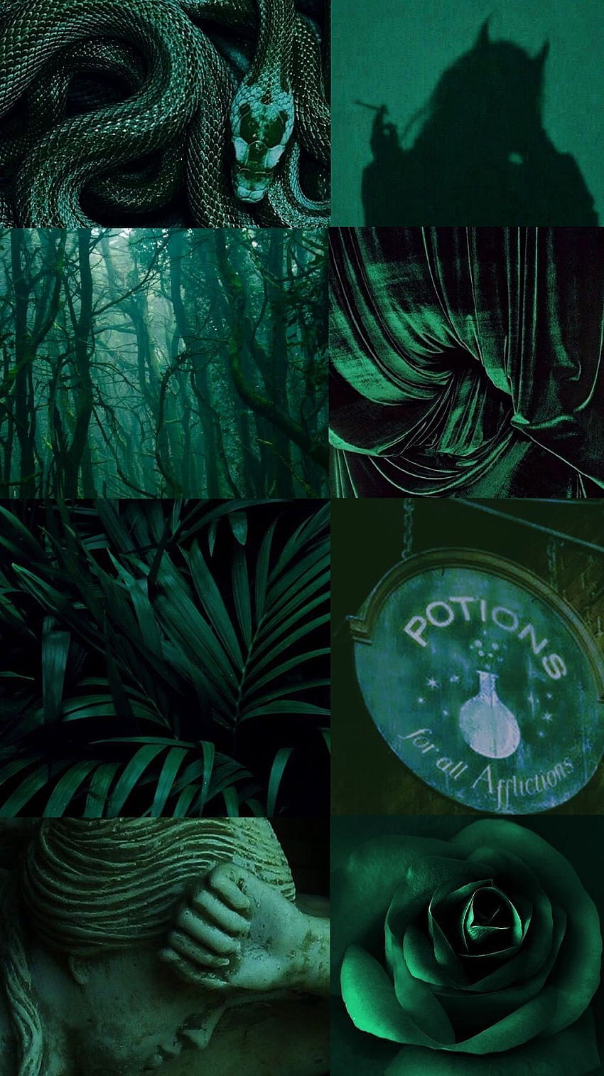 dark green aesthetic - . Cattails // Melony HD phone wallpaper