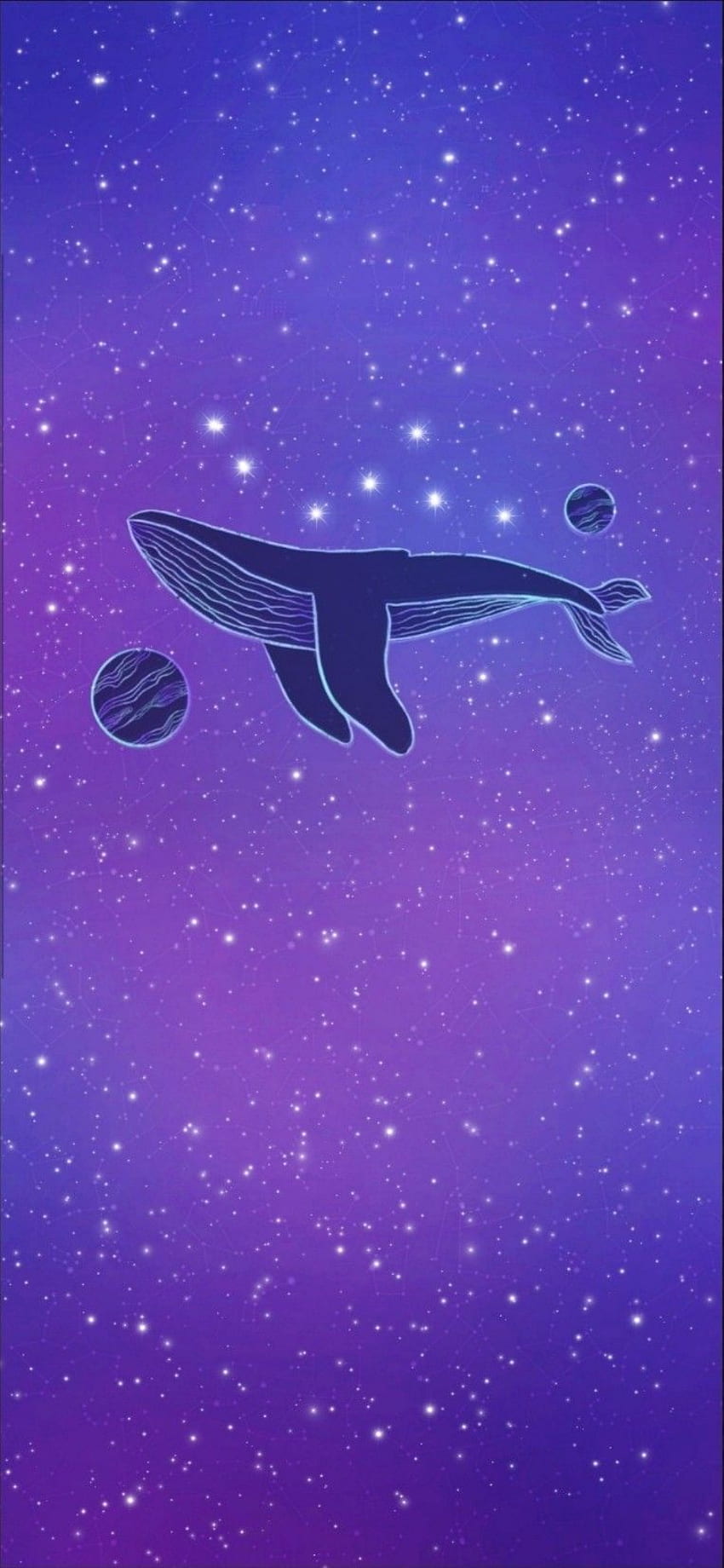 BTS ホリエン。 防弾少年団、かわいい紫クジラ HD電話の壁紙