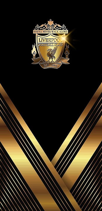 BLACK & GOLD ideas in 2021. black gold, gold, gold, Elegant Black and Gold  HD phone wallpaper | Pxfuel