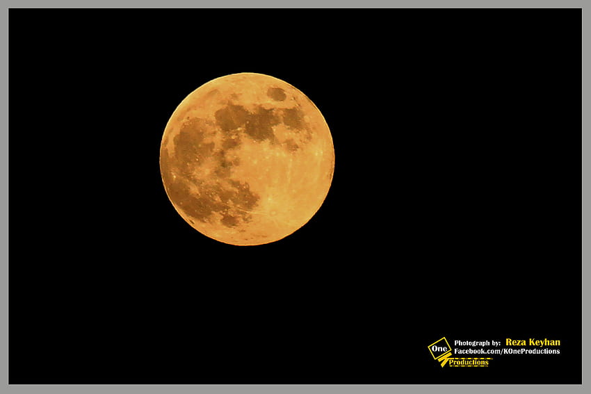 Full Moon in Los Angeles, night, full, moon, sky, los angeles, tree HD wallpaper