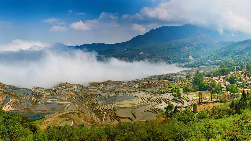 Yuanyang Terraces, China Yunnan, Beautiful - , China Mountains HD wallpaper