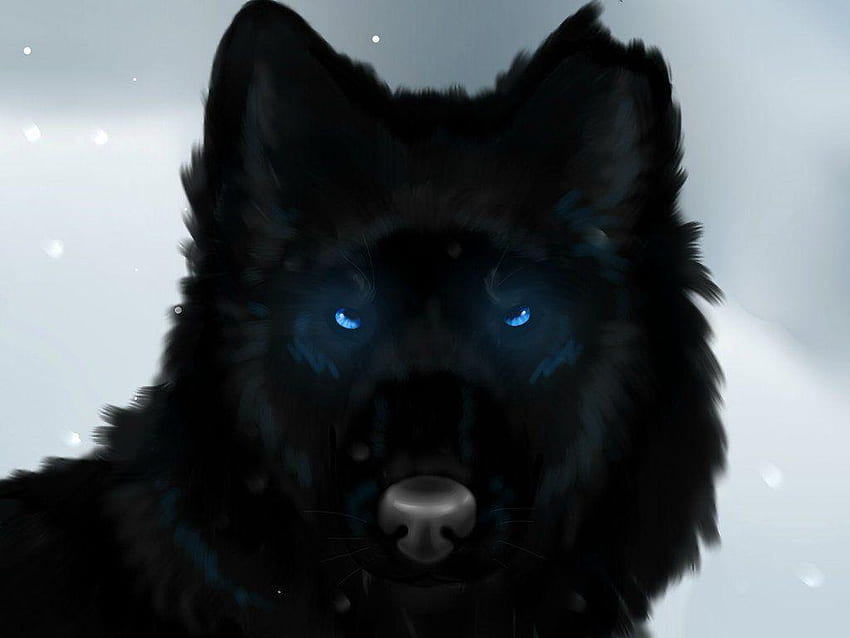 Blue Wolf Eyes HD wallpaper