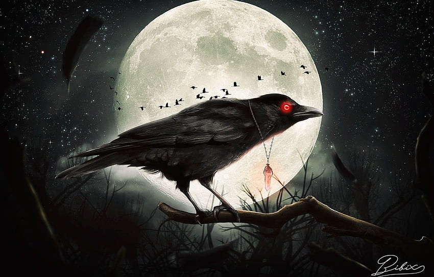 HD wallpaper Crow Darl Gothic mood Poe raven the Trees plant  forest  Wallpaper Flare
