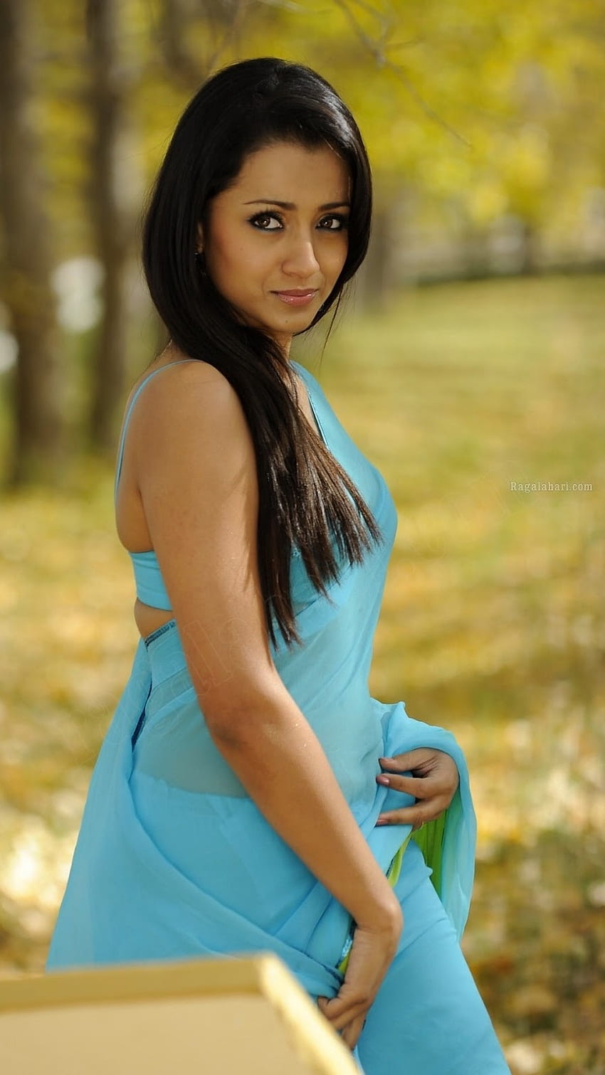 Trisha Krishnan, actriz tamil fondo de pantalla del teléfono