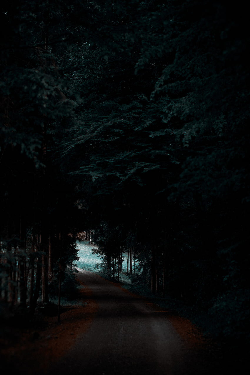 naturaleza, árboles, oscuro, bosque, sombra, camino fondo de pantalla del teléfono
