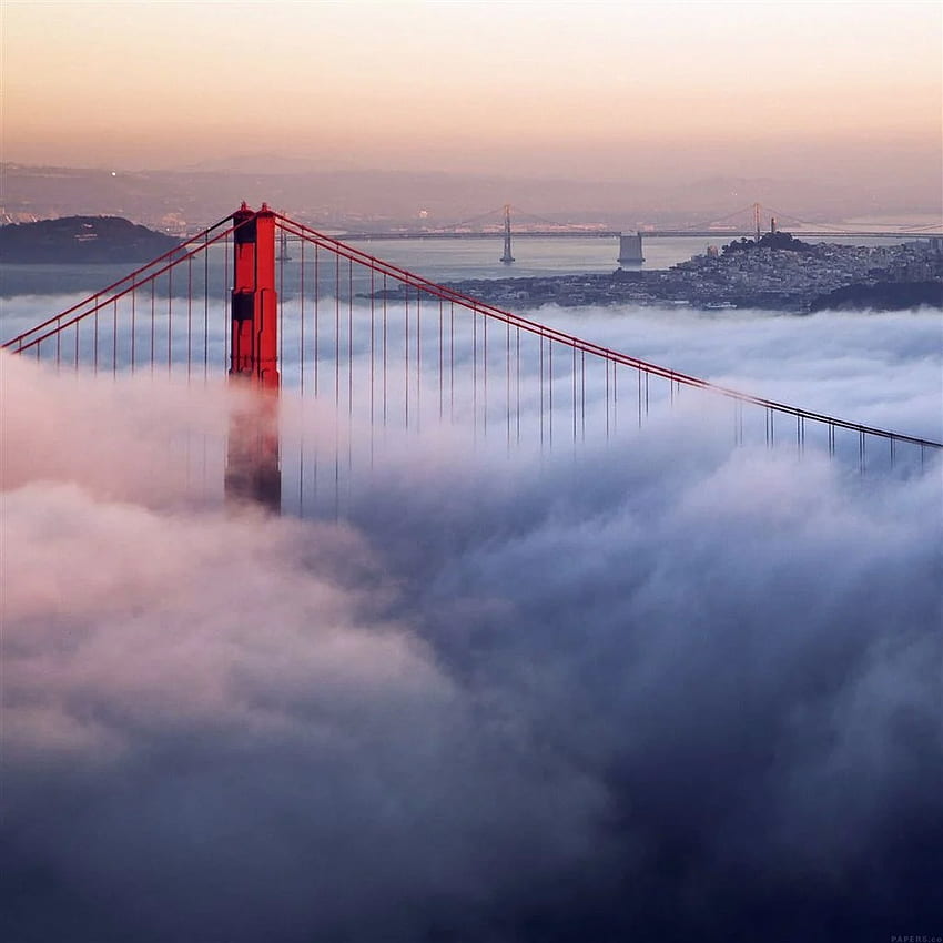 Natura Ponte sul paesaggio fluviale nebbioso iPad Air, città nebbiosa Sfondo del telefono HD