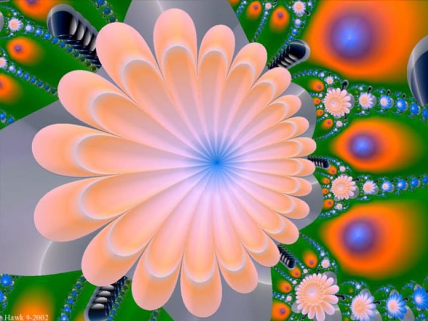Flower Design, apricot flowers, peacock feather design, art HD wallpaper