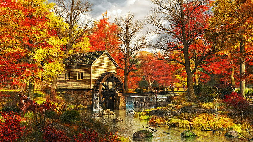 The Old Mill At Pheasant Creek Road, colors, autumn, trees, watermill ...