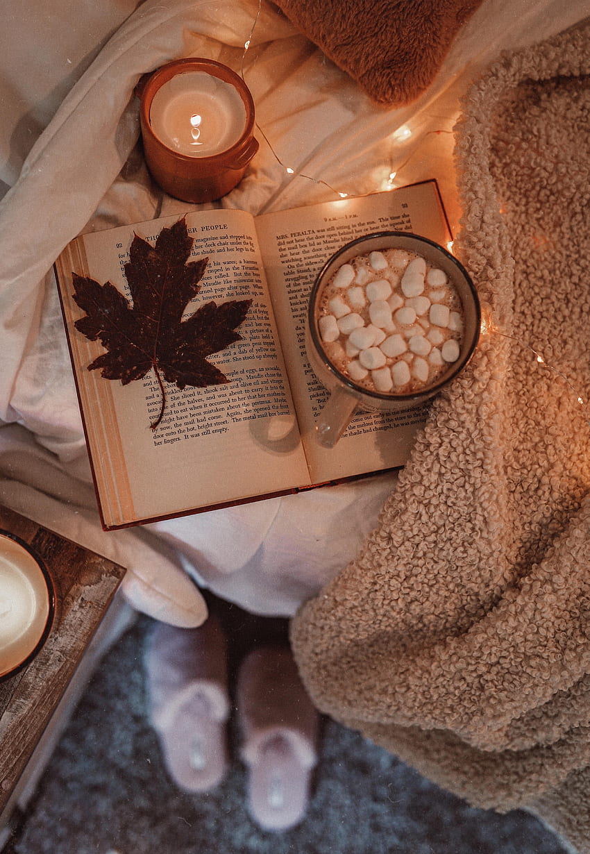 Autumn, , , Sheet, Leaf, Book, Maple, Coziness, Comfort, Cocoa HD phone wallpaper