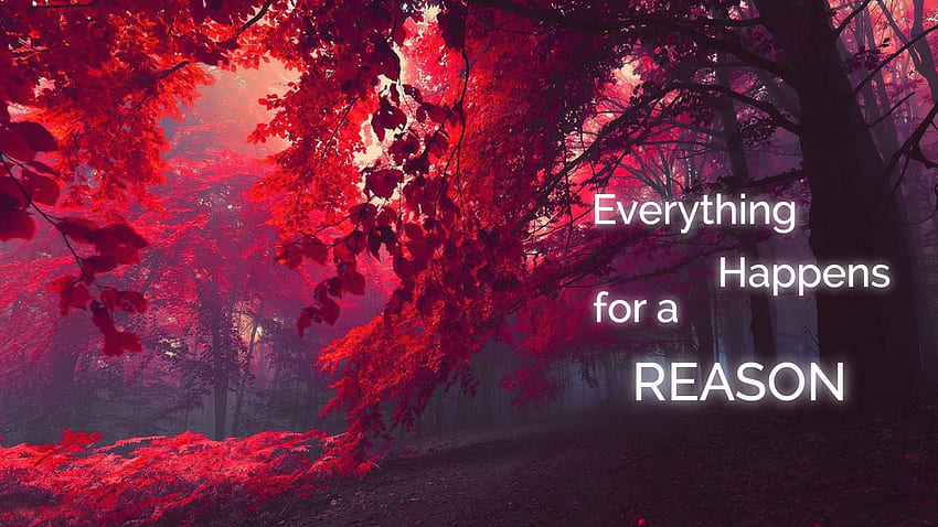 Everything happens for a reason HD wallpaper