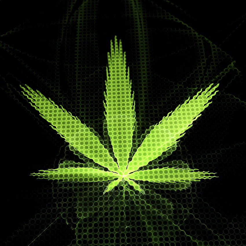 Marijuana, 420, Weed, Mary, Jane, Drugs, Neon HD phone wallpaper | Pxfuel