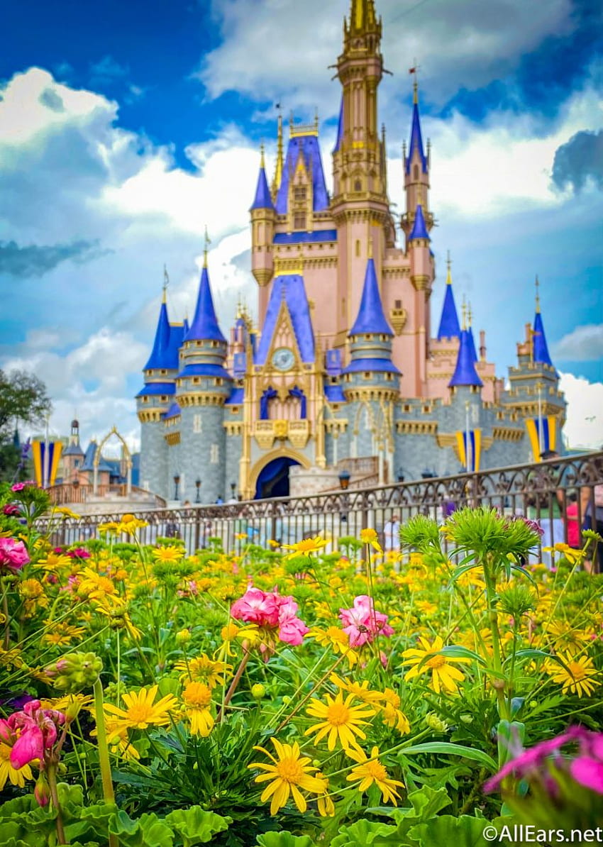 Stunning Disney World to Bring the Magic to Your Phone, Walt Disney World iPhone HD phone wallpaper