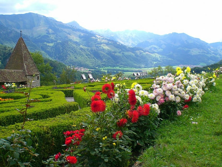a flowery landscape, grass, flowers, mountains, scenic HD wallpaper