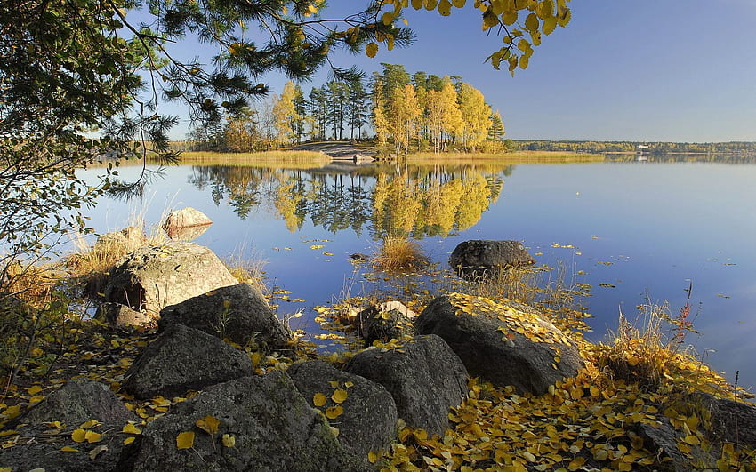 Nature, Trees, Stones, Autumn, Leaves, Birches, Lake, Shore, Island, Shores, Islet HD wallpaper