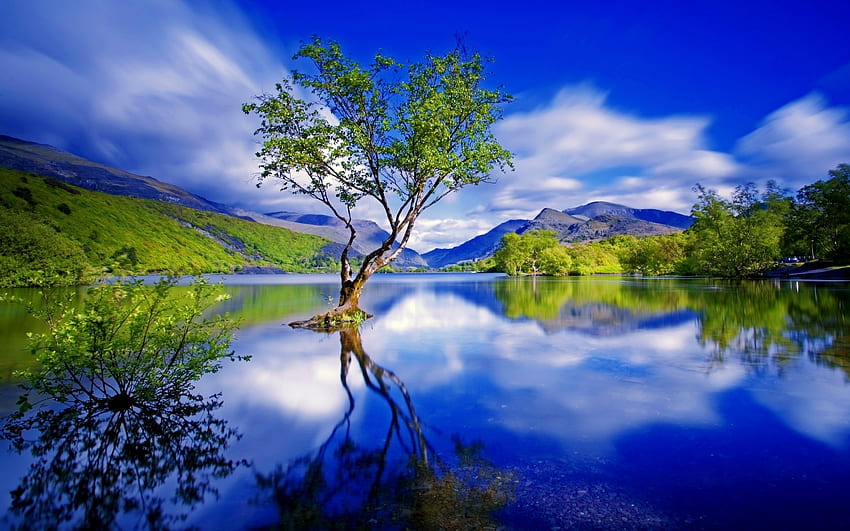 Beautiful , blue, white, landscape, weather, beauty, tree, lake, reflection, clouds, nature, sky, mountains HD wallpaper