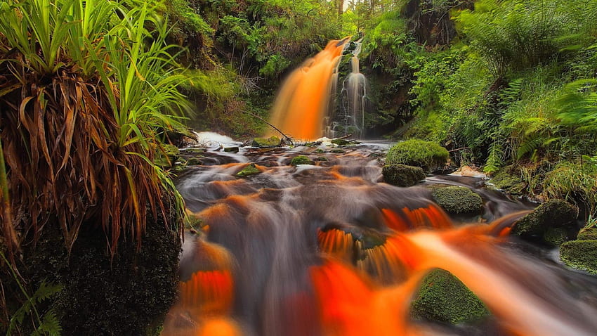 Beautiful Cascades, fall, trees, waterfall, cascades, nature, grass, forest HD wallpaper