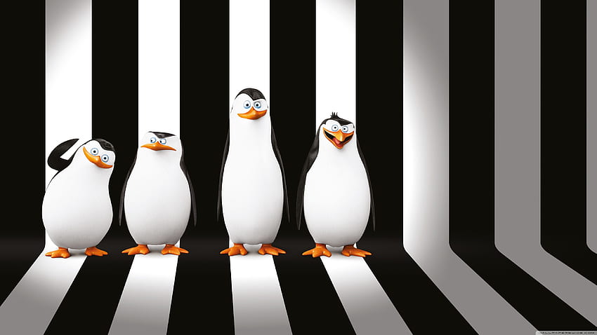 Pinguine aus Madagascar Movie ❤ für Ultra, Ultra Movies HD-Hintergrundbild
