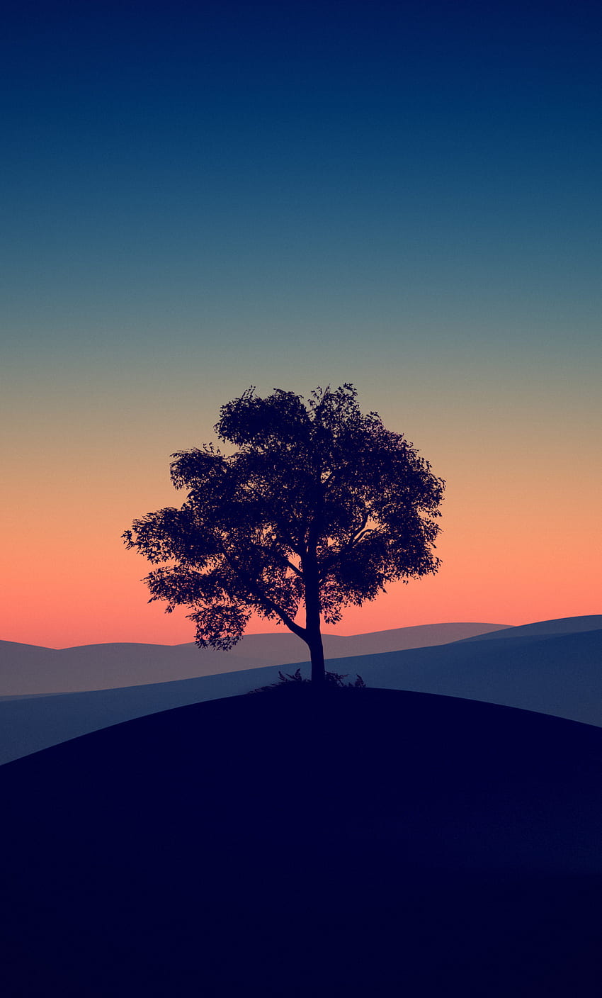 Yalnız Ağaç Karanlık Akşam iPhone , , Arka Plan ve Koyu Mavi Ağaçlar HD telefon duvar kağıdı