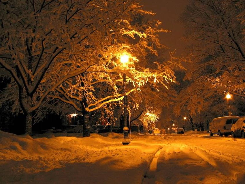 Winternacht, Winter, Nacht HD-Hintergrundbild