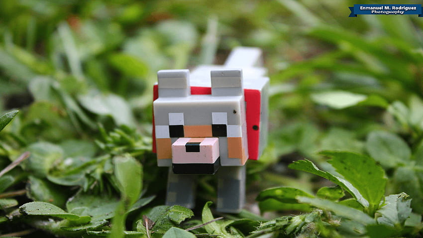 Minecraft Cute Wolf, Minecraft Fox HD wallpaper | Pxfuel