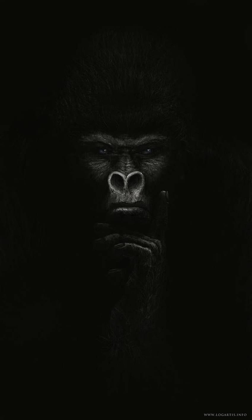 Gorilla by logartis. Gorilla tattoo, Gorillas art, Gorilla , Gorilla Art HD phone wallpaper