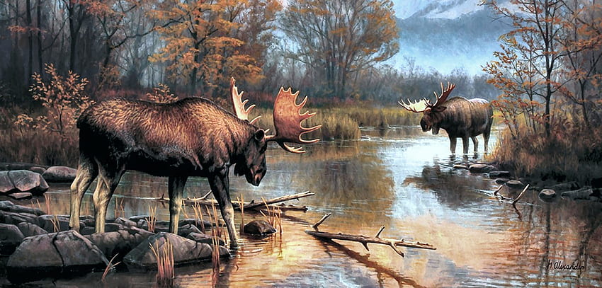 Showdown at Oxbow - Moose, animal, art, showdown, beautiful, artwork, wide screen, wildlife, painting, moose, deer HD wallpaper
