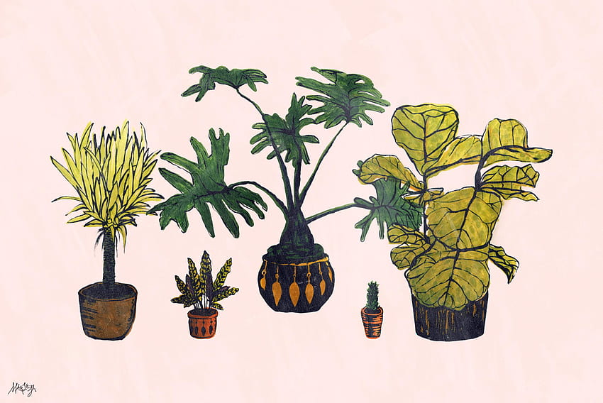 美的ラップトップ。 (30++ ), Plant Aesthetic Tumblr ラップトップ 高画質の壁紙