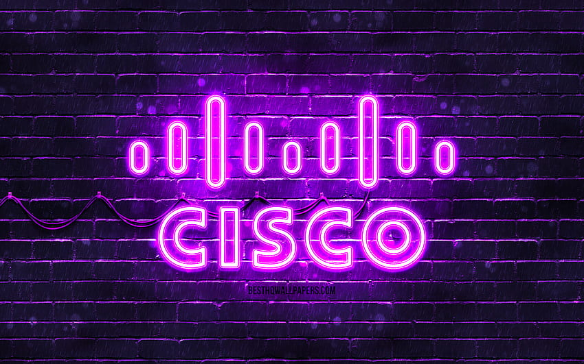 Cisco violet logo, , violet brickwall, Cisco logo, brands, Cisco neon logo, Cisco HD wallpaper