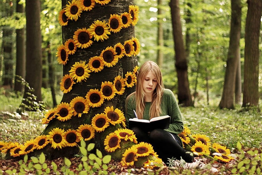 매력적인 가을, 책, 해바라기, 가을, 자연, 소녀, 나무 HD 월페이퍼